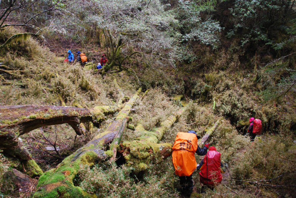 South Section 3 (南三段), the Challenging Hiking Trail that Traverses the Core of Formosa Around Taiping River Source