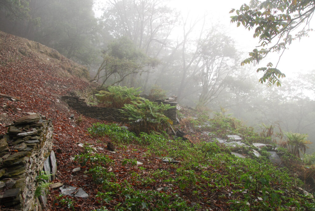 South Section 3 (南三段), the Challenging Hiking Trail that Traverses the Core of Formosa ruin of building
