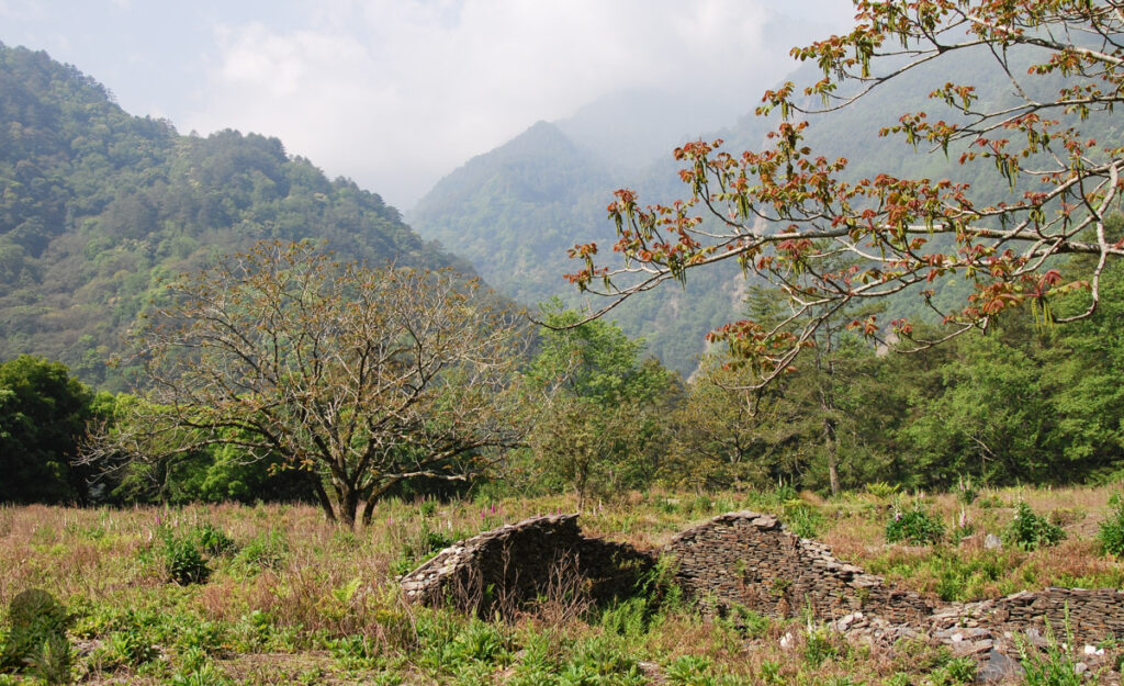 South Section 3 (南三段), the Challenging Hiking Trail that Traverses the Core of Formosa Wushuang Community