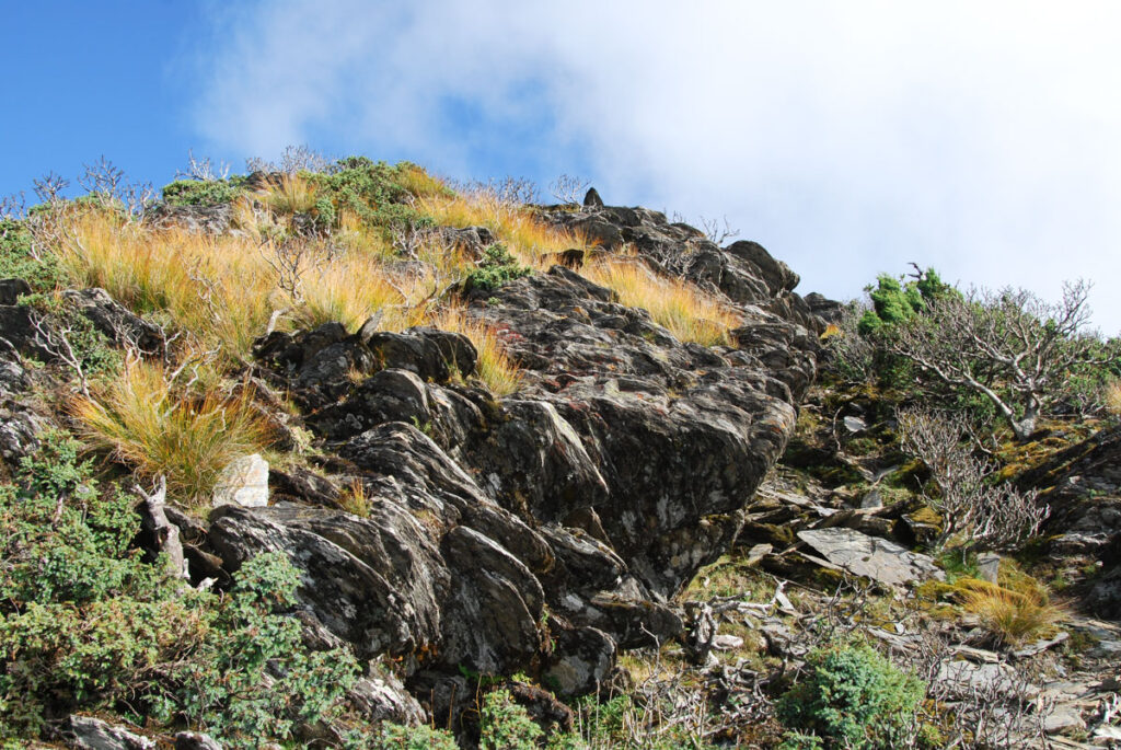 South Section 3 (南三段), the Challenging Hiking Trail that Traverses the Core of Formosa beautiful grass and rock