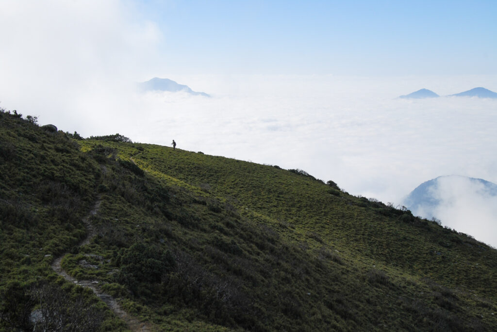 South Section 3 (南三段), the Challenging Hiking Trail that Traverses the Core of Formosa cloud under the ridge
