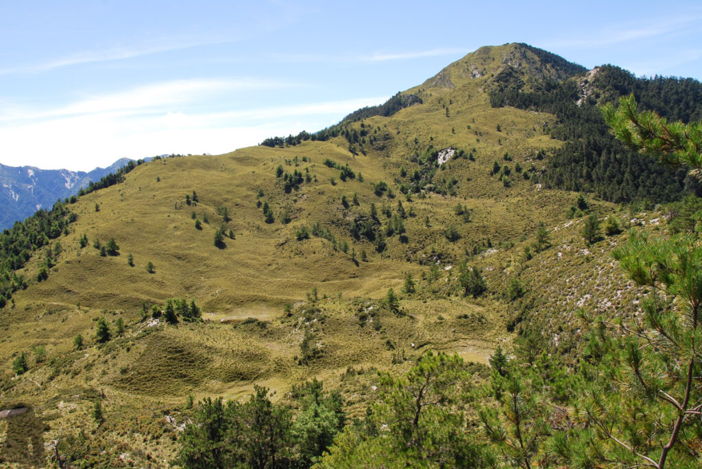 South Section 3 (南三段), the Challenging Hiking Trail that Traverses the Core of Formosa Zhushan