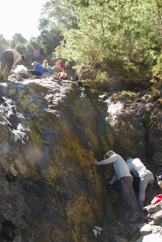 South Section 3 (南三段), the Challenging Hiking Trail that Traverses the Core of Formosa water source near Zhushan North Saddle Campsite
