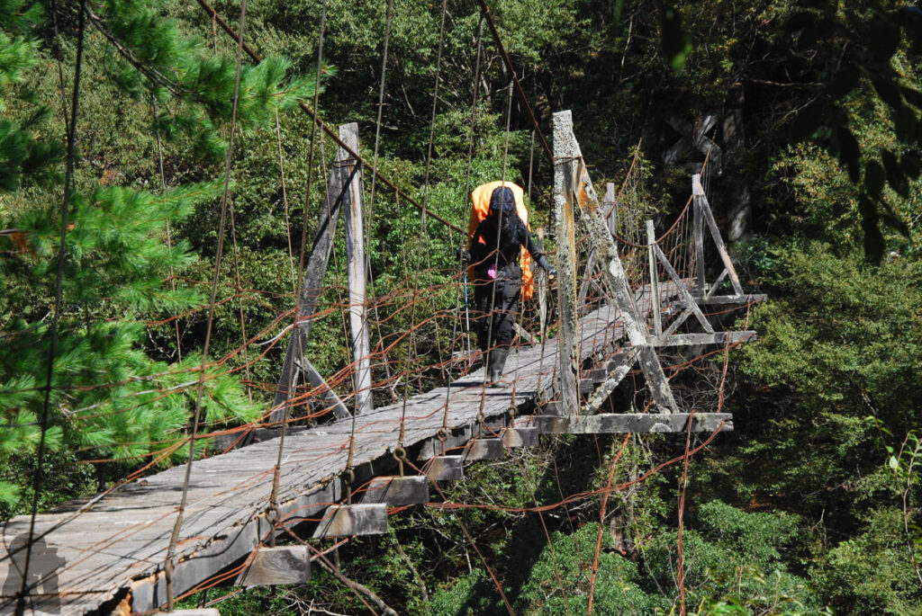South Section 3 (南三段), the Challenging Hiking Trail that Traverses the Core of Formosa Wushuang Swing Bridge 無雙吊橋