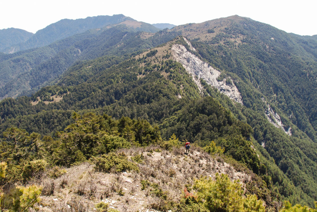 South Section 3 (南三段), the Challenging Hiking Trail that Traverses the Core of Formosa At Yixiqingmazhishan 義西請馬至山