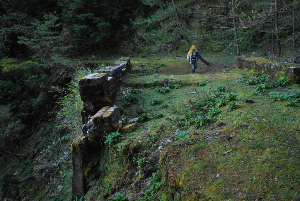 South Section 3 (南三段), the Challenging Hiking Trail that Traverses the Core of Formosa Junda Forest Road