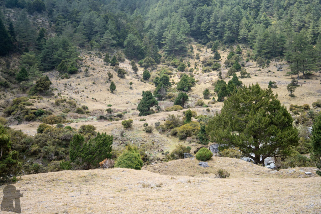 South Section 3 (南三段), the Challenging Hiking Trail that Traverses the Core of Formosa Taiping River Source Campsite 太平溪源營地