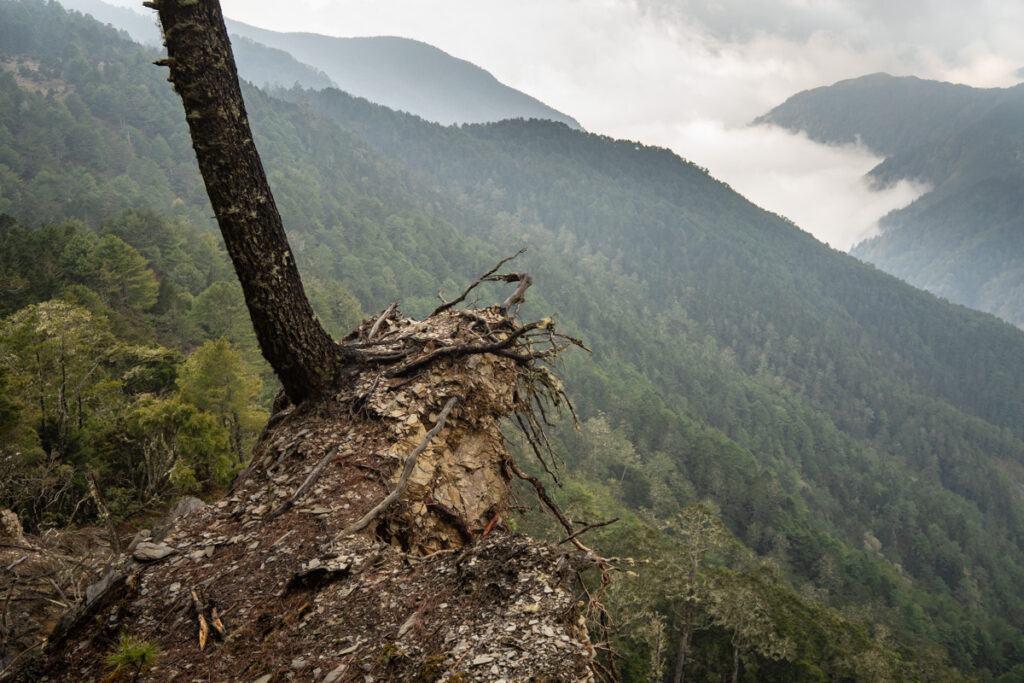 South Section 3 (南三段), the Challenging Hiking Trail that Traverses the Core of Formosa Collapsing trail