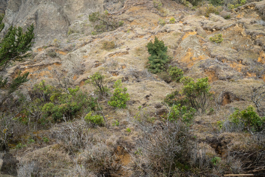 South Section 3 (南三段), the Challenging Hiking Trail that Traverses the Core of Formosa crumbled earth