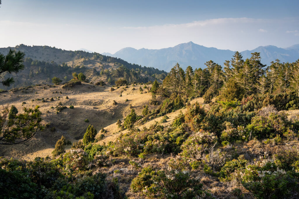South Section 3 (南三段), the Challenging Hiking Trail that Traverses the Core of Formosa A wild garden