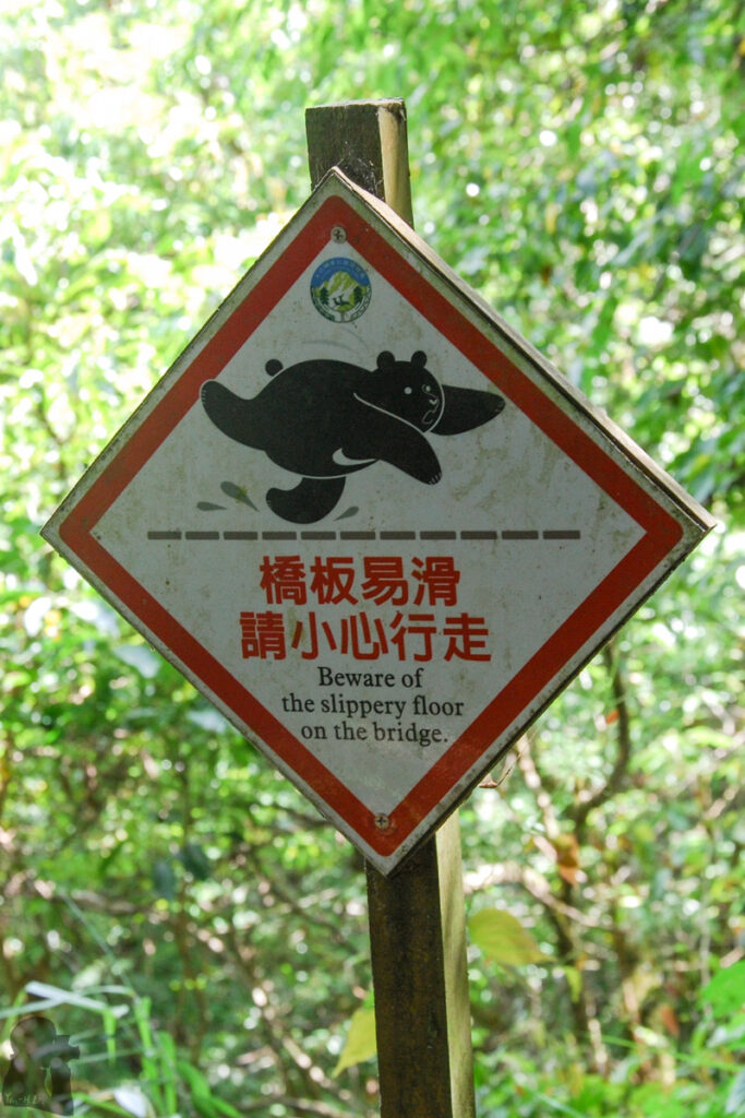 The Full Text of "Hiking Safety in Taiwan" Formosan black bears 台灣黑熊