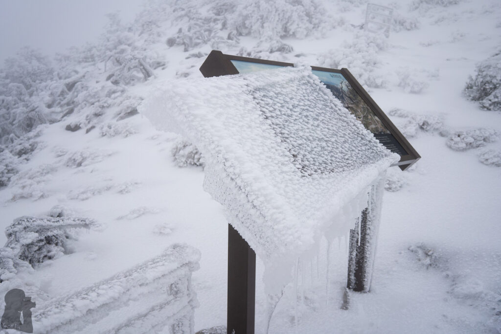 The Full Text of "Hiking Safety in Taiwan" Xueshan (Mt. Snow 雪山) Trail