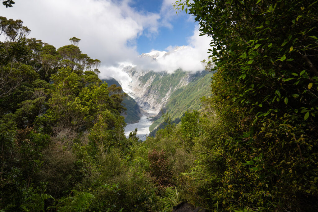 Alex Knob, the Peak Stands in front of Franz Josef Glacier A view of the glacier through the forest
