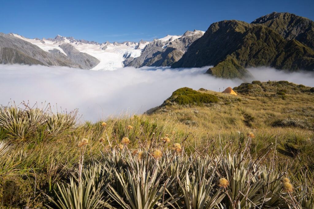 Alex Knob, the Peak Stands in front of Franz Josef Glacier Alex Knob