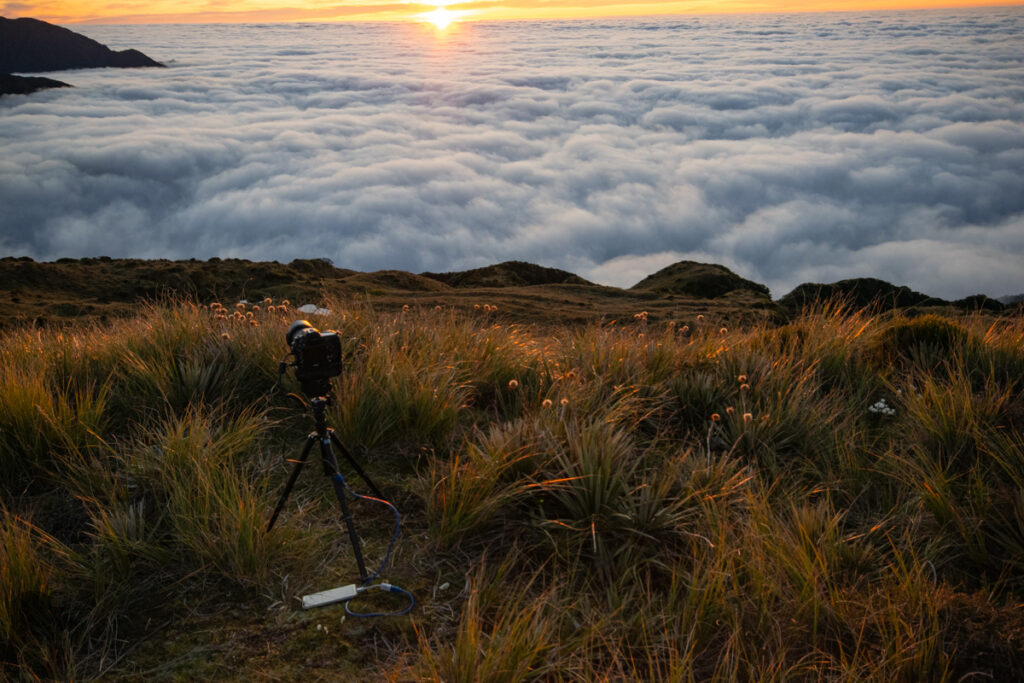 Alex Knob, the Peak Stands in front of Franz Josef Glacier time-lapse shot