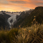 Franz Josef Glacier