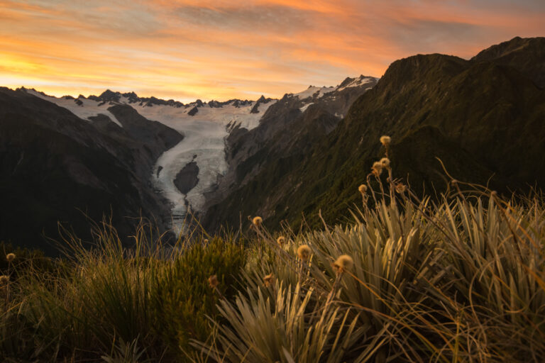 Franz Josef Glacier