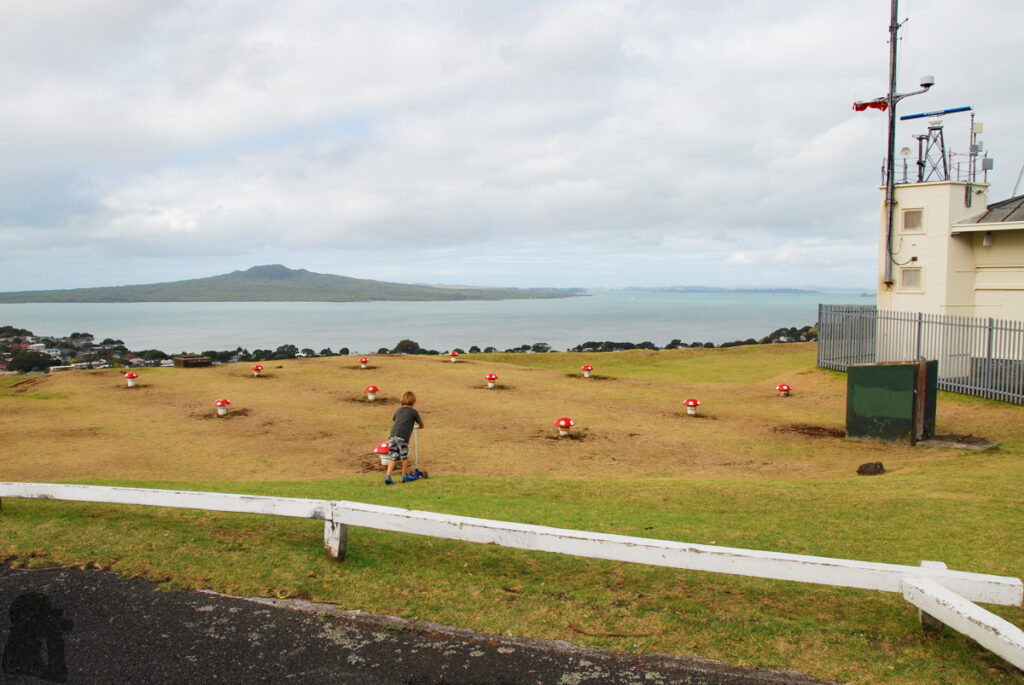 Auckland, the Beautiful City that Gave Our First Impression about New Zealand Auckland