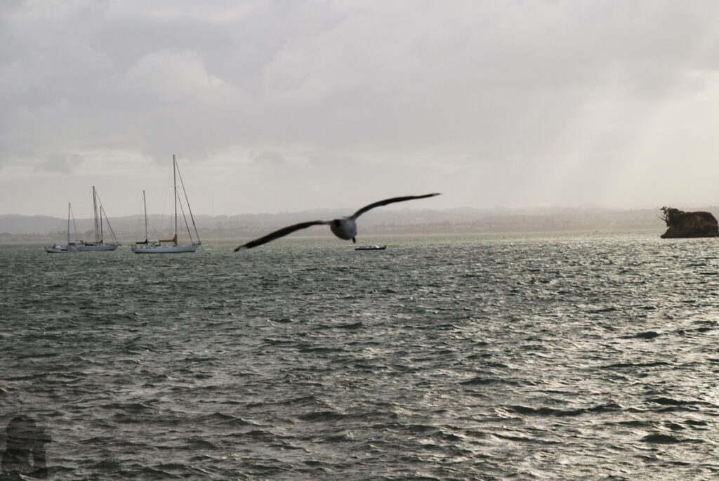 Auckland, the Beautiful City that Gave Our First Impression about New Zealand Auckland