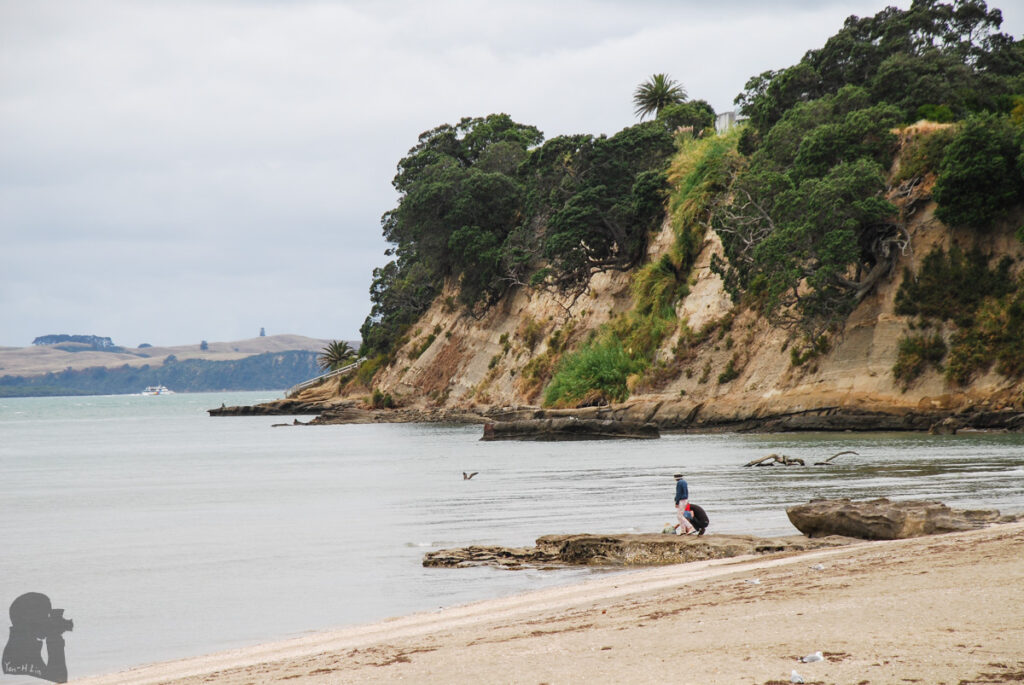 Auckland, the Beautiful City that Gave Our First Impression about New Zealand Auckland