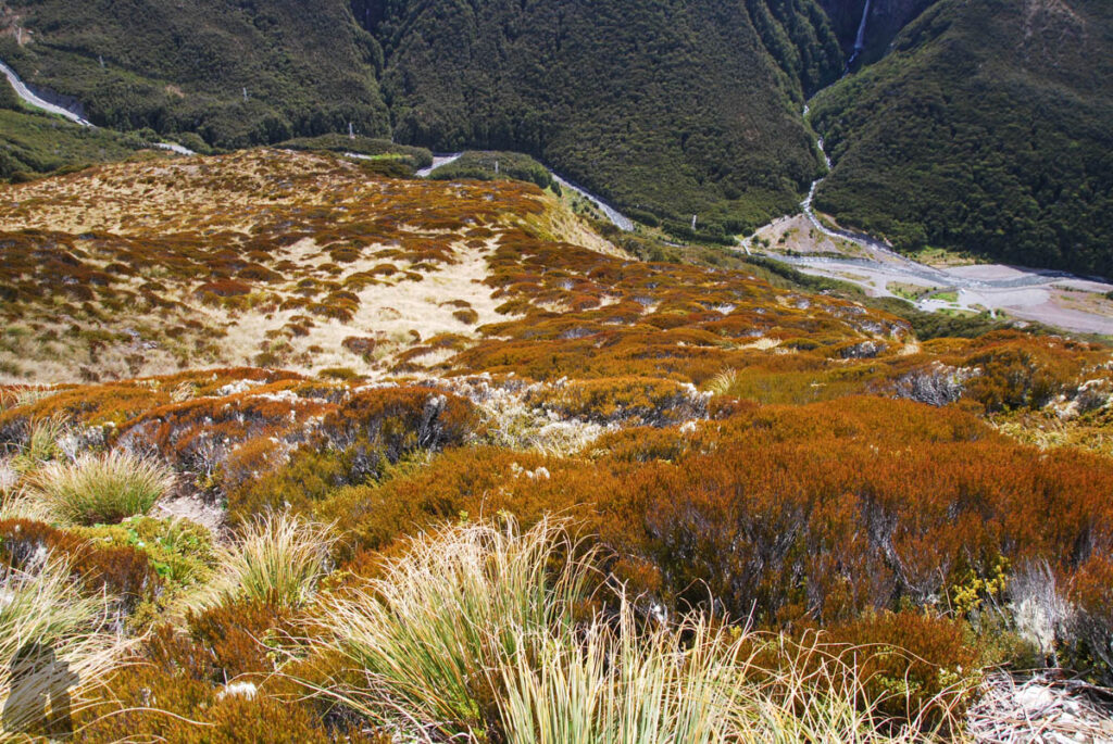 Avalanche Peak