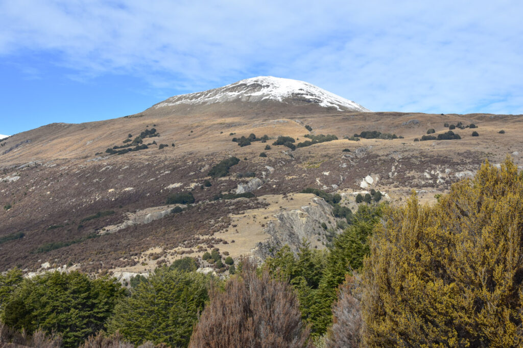 Bealey Spur