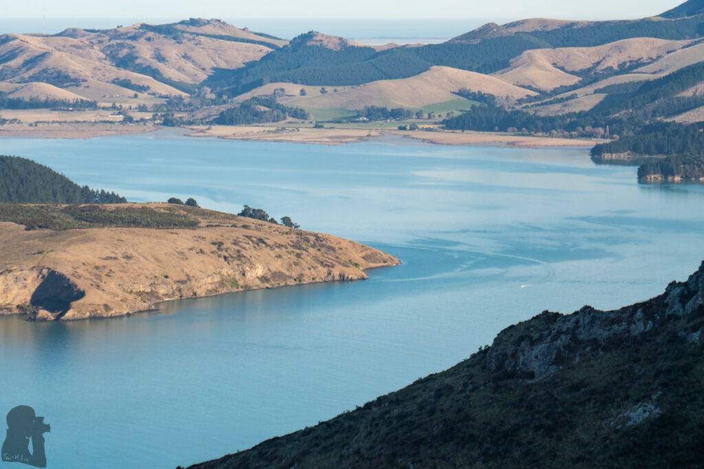 A snapshot of Lyttelton Harbour