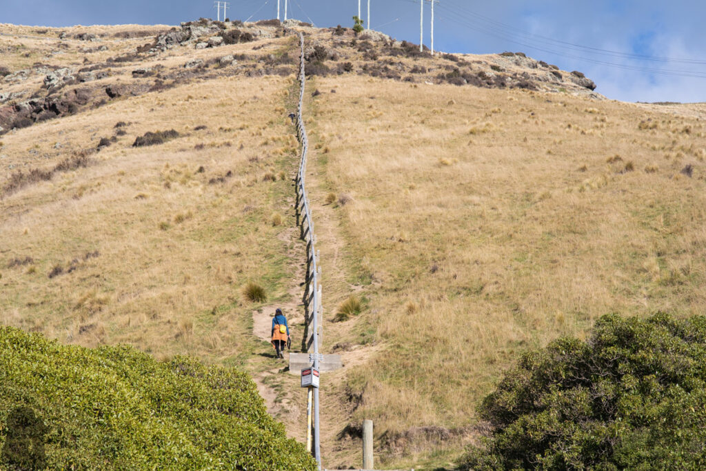 The steep slope