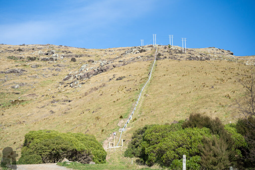 Pipeline climbs uphill.
