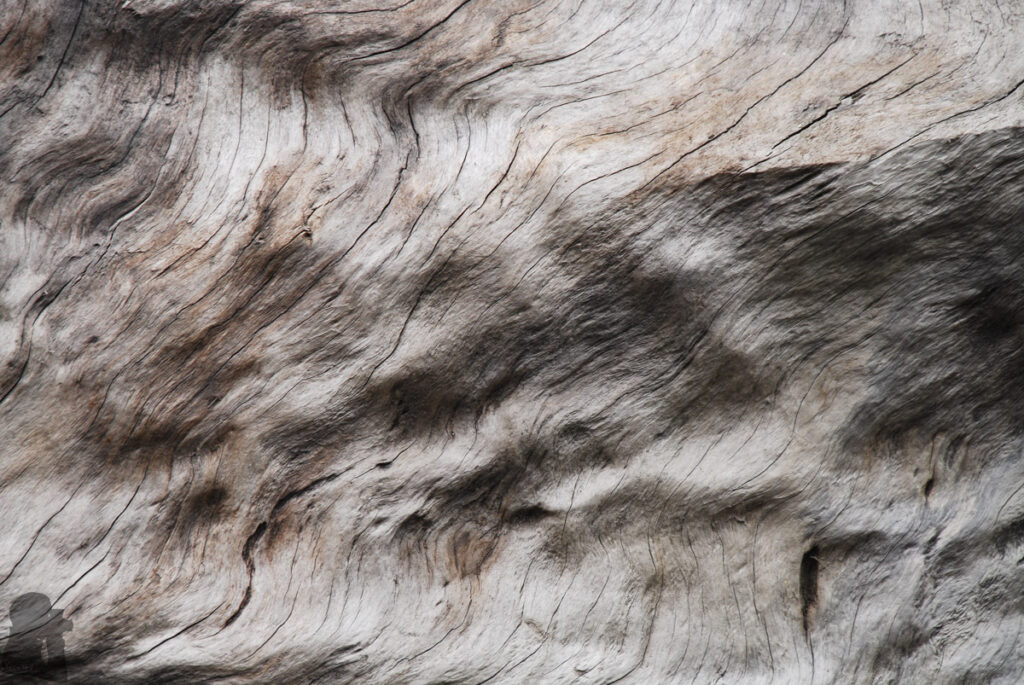 The Death Ridge (死亡稜線), the Climb on a Razor-Sharp Ridge between North Section 1 and North Section 2, Central Mountain Range texture on wood