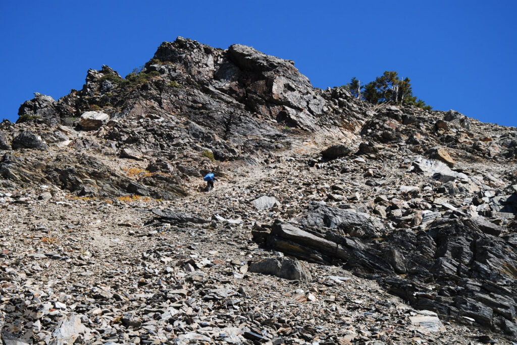 The Death Ridge (死亡稜線), the Climb on a Razor-Sharp Ridge between North Section 1 and North Section 2, Central Mountain Range The last section to Zhongyangjianshan West Peak was on loose scree, very unstable and hard to elevate on it. Not extremely steep but I ended up being a four-foot animal to walk up.
