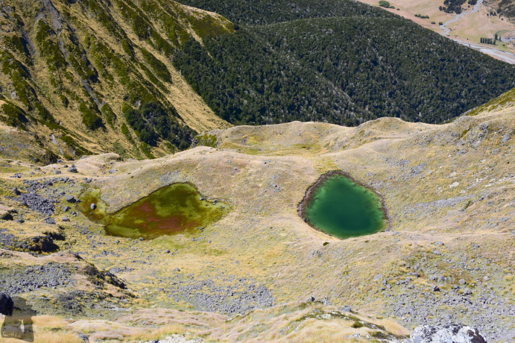 Faust, a Day Hike to the Peak with lovely Tarns on an Unnamed Track The two tarns on my left side, where I camped in February 2020