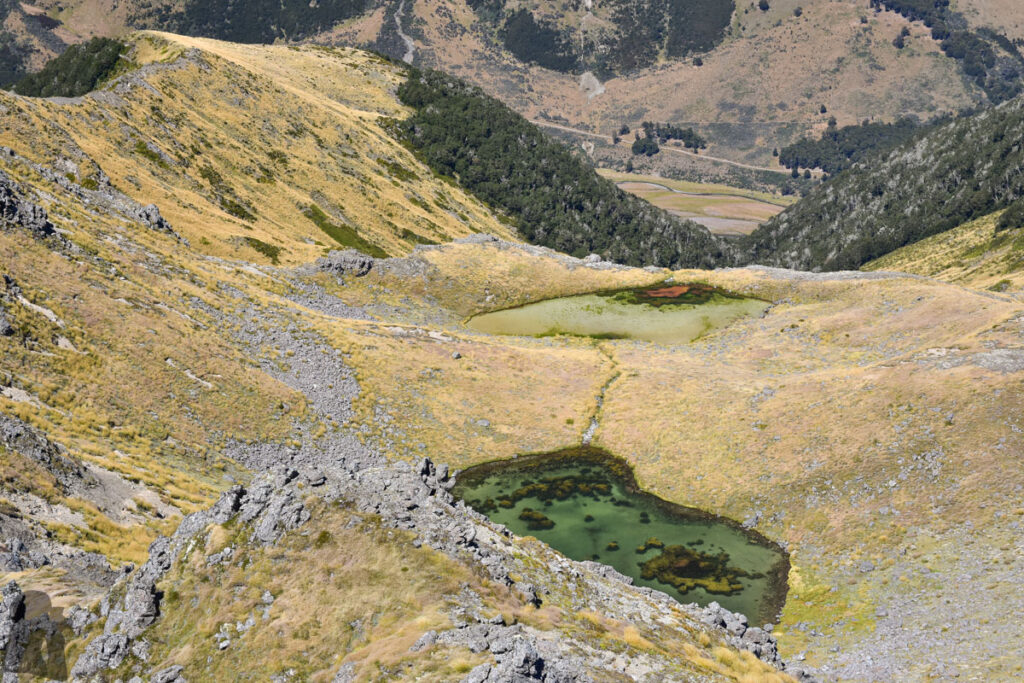 Faust, a Day Hike to the Peak with lovely Tarns on an Unnamed Track And the two tarns on the other side where I camped in November 2019 and February 2024