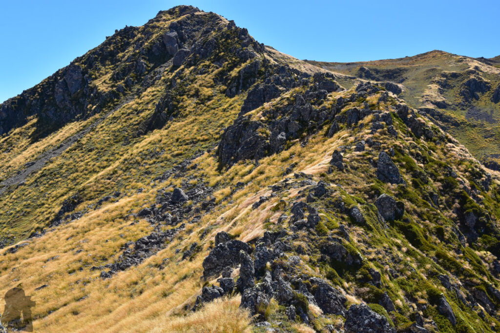 Faust, a Day Hike to the Peak with lovely Tarns on an Unnamed Track Looking up the ridge I just went down