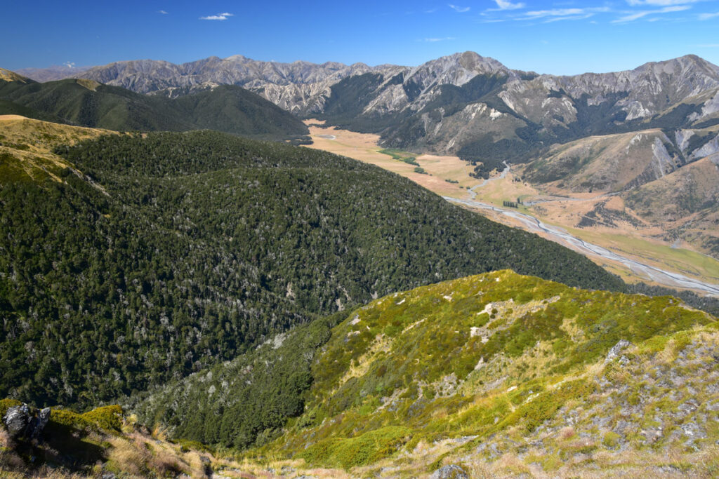 Faust, a Day Hike to the Peak with lovely Tarns on an Unnamed Track Approaching the treeline