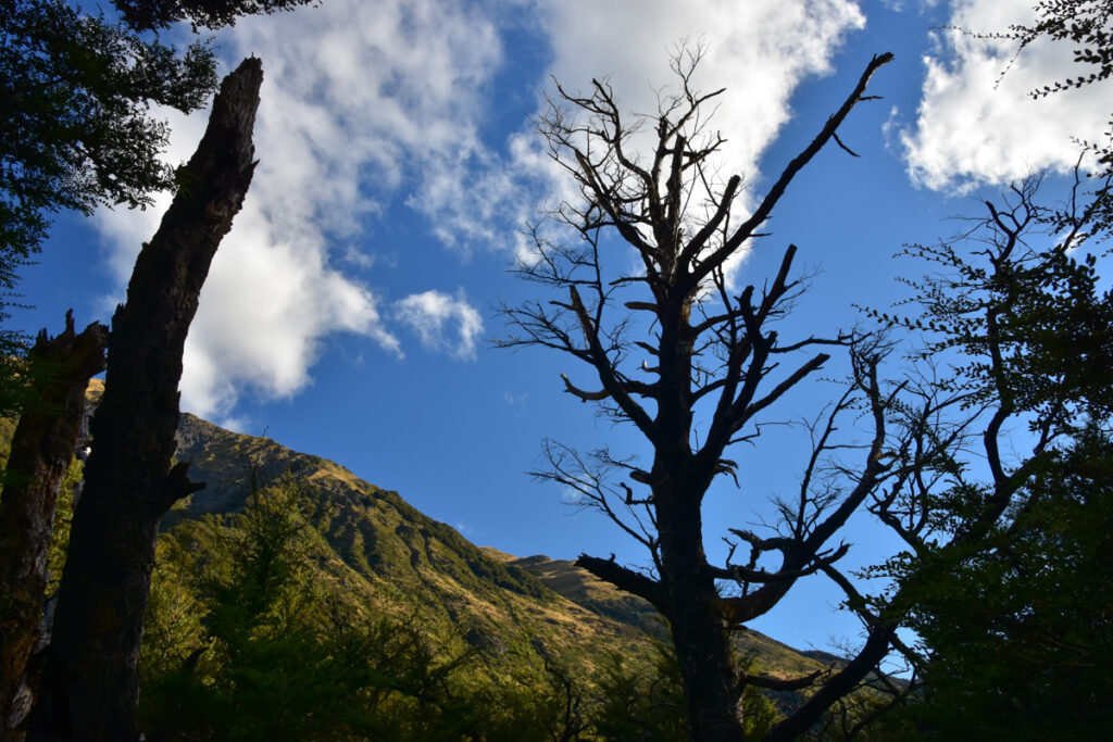 Faust, a Day Hike to the Peak with lovely Tarns on an Unnamed Track Faust