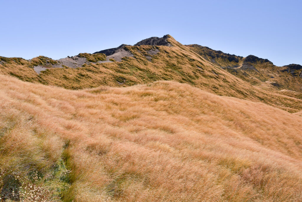 Faust, a Day Hike to the Peak with lovely Tarns on an Unnamed Track Traveling along the ridge