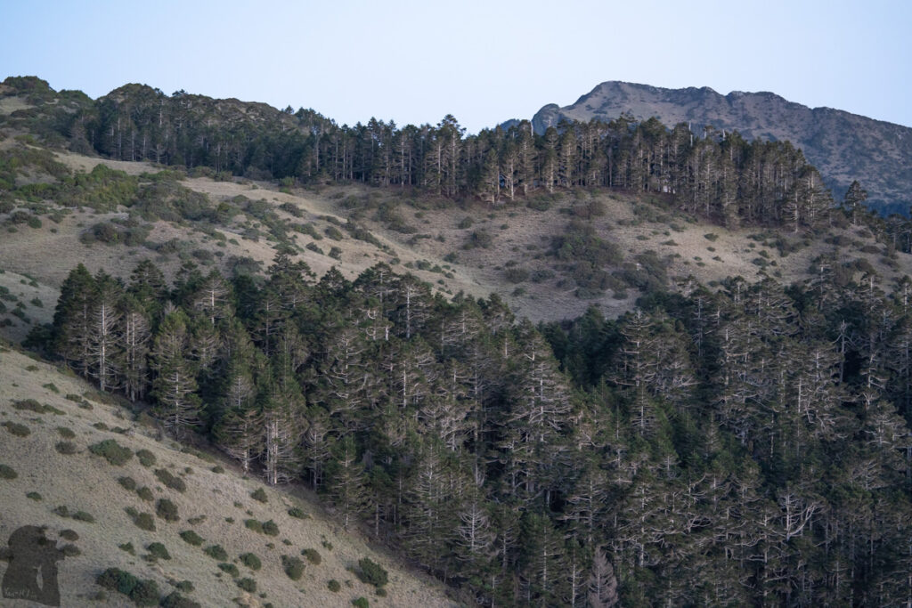Ganzhuowan Peaks (干卓萬群峰), the Trickiest Trail in My Hiking History Ganzhuowanshan stands behind the woods.