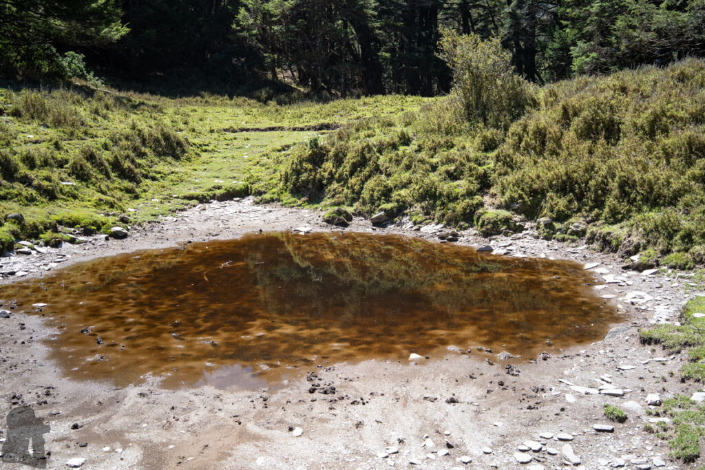 Ganzhuowan Peaks (干卓萬群峰), the Trickiest Trail in My Hiking History A muddy pond by 2900 Campsite