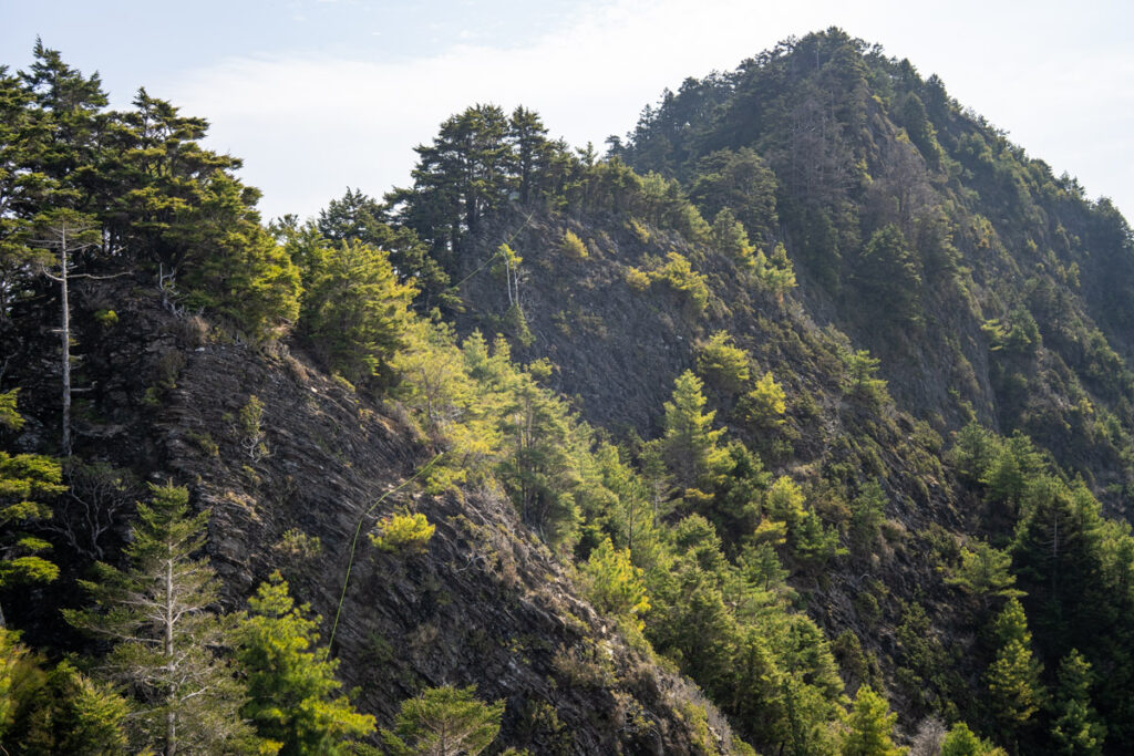 Ganzhuowan Peaks (干卓萬群峰), the Trickiest Trail in My Hiking History pitches on 18-Peaks