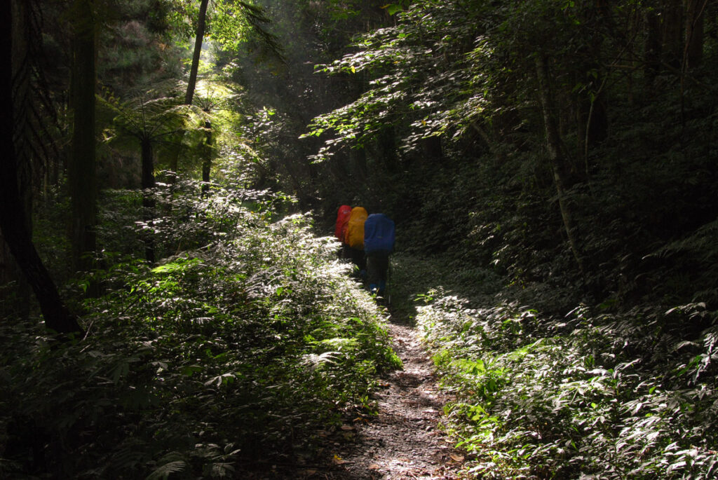 Ganzhuowan Peaks (干卓萬群峰), the Trickiest Trail in My Hiking History Wanda Forest Road