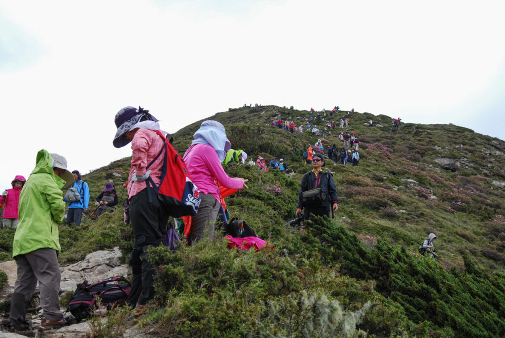 Hehuanshan (合歡山), the Renowned High Mountains that are Beginner Friendly The crowded trail to Hehuan North Peak