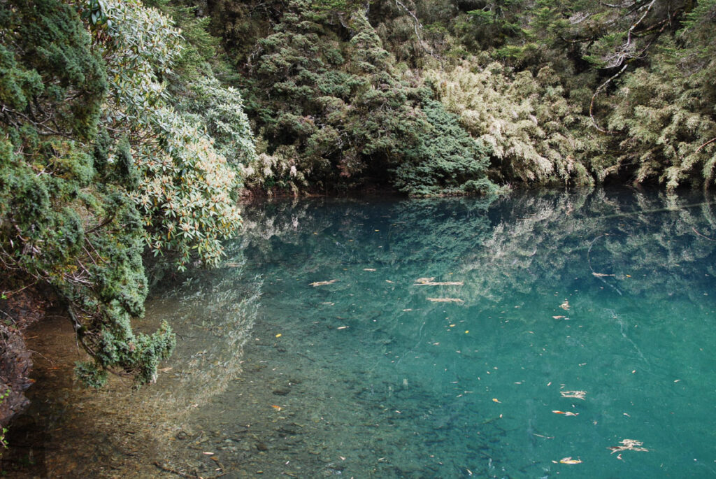 Hehuanshan (合歡山), the Renowned High Mountains that are Beginner Friendly Bichi (碧池), a green pond hidden in a wood beside the trail, close to the microwave repeater.