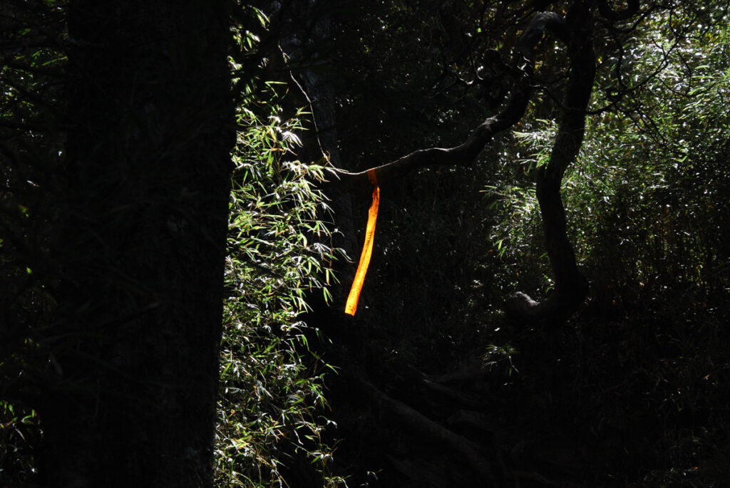 Hehuanshan (合歡山), the Renowned High Mountains that are Beginner Friendly A trail marker in the wood