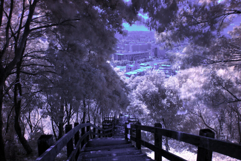 Taipei