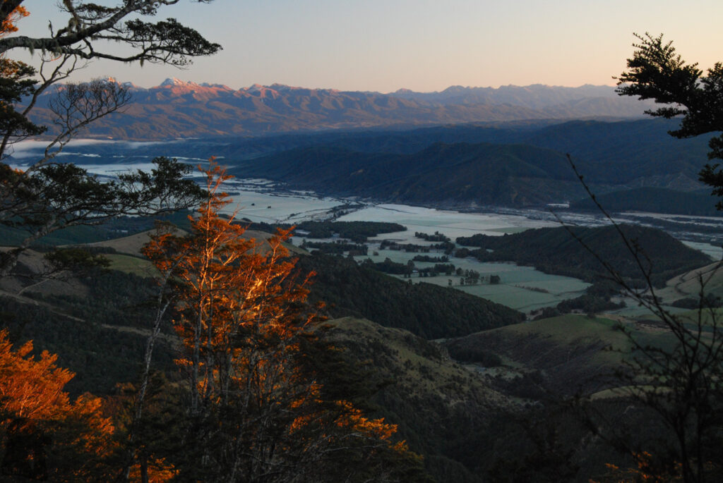 We walked up the zigzag Pinchgut Track; even this was at 8:30 or 9:30 am, the sun was still low.