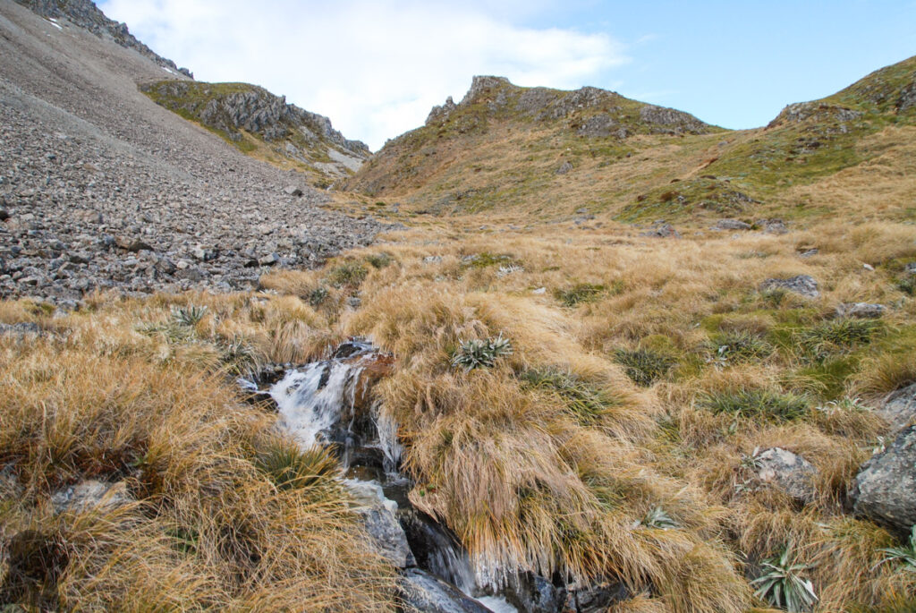 A lovely creek