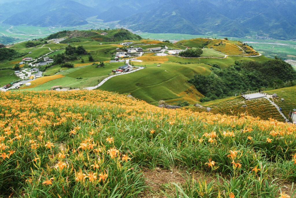 Liushishishan (六十石山), the Splendid Mountain of Daylily Liushishishan 六十石山