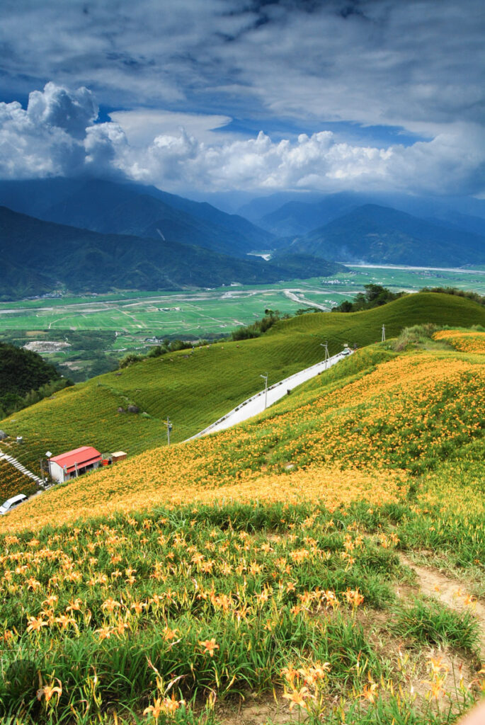 Liushishishan (六十石山), the Splendid Mountain of Daylily Liushishishan 六十石山