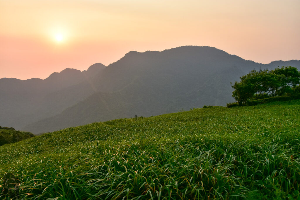 Liushishishan (六十石山), the Splendid Mountain of Daylily Liushishishan
